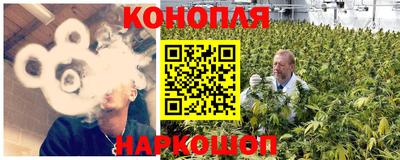 шишки Краснознаменск