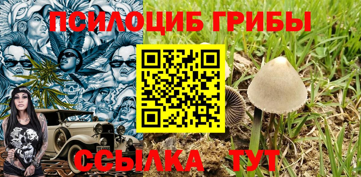 закладки  Псилоцибиновые грибы Cubensis  Вход с VPN  Галлюциногенные грибы мицелий  Сунжа 
